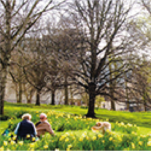 Park, 2025